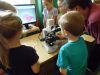 Mikroskop i przedszkolaki - Co w puszczy piszczy 18.07 (11).JPG